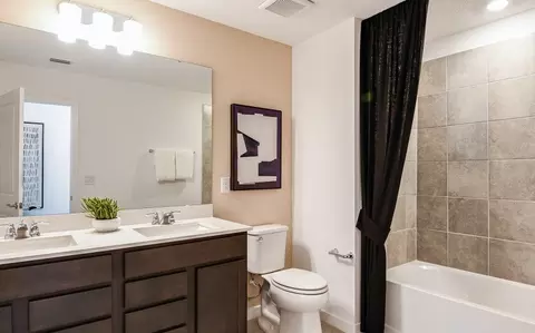 Bath - 13716 Sunlight Meadow Dr, Riverview, FL 33578 photo 3 of 3