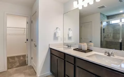 Bath - 13716 Sunlight Meadow Dr, Riverview, FL 33578 photo 2 of 3