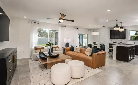 Other - 13716 Sunlight Meadow Dr, Riverview, FL 33578 photo 3 of 12
