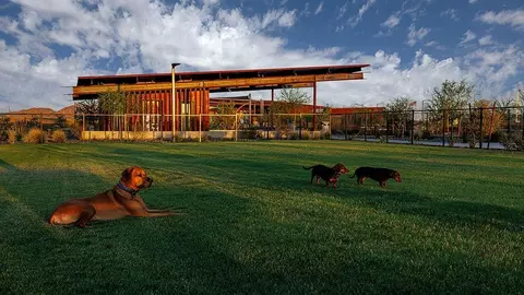 View/Area - 1634 E Caleb Rd, Phoenix, AZ 85085 photo 12 of 12