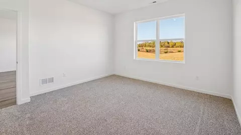 Bedroom - 1226 Tiger Lily Dr, Bartlett, IL 60103 photo 6 of 11