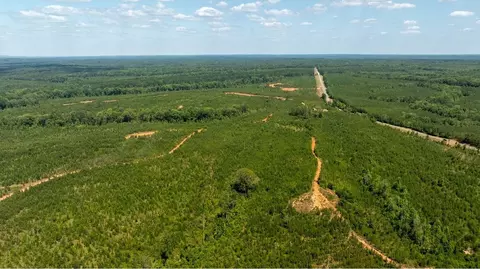 View/Area - 5 Mitchell Rd, Fortson, GA 31808 photo 5 of 20