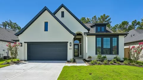 22635 Big Stump Dr, Porter, TX 77365