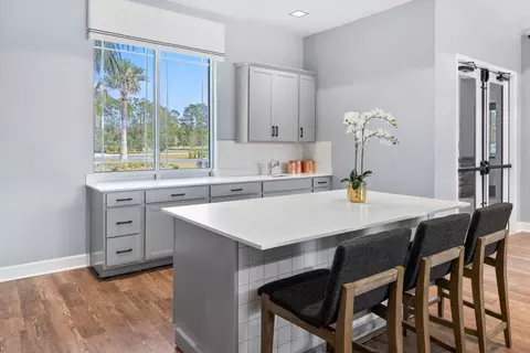Other - 16648 Luminary Loop, Clermont, FL 34714 photo 5 of 5
