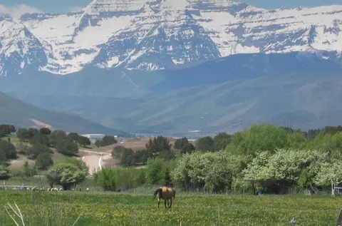 Other - 2737 E Hayloft Ln, Heber, UT 84032 photo 1 of 2