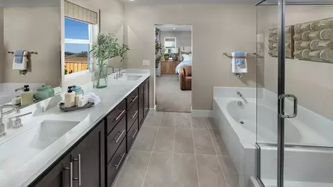 Bath - 2089 Cyclone Dr, Manteca, CA 95336 photo 1 of 3
