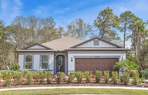 33335 Herds Hallow Way, Wesley Chapel, FL 33545