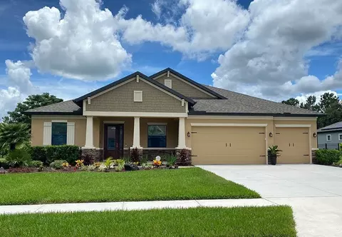 Exterior - 12420 White Blossom Ct, Parrish, FL 34219 photo 5 of 29