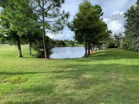 View/Area - 12420 White Blossom Ct, Parrish, FL 34219 photo 10 of 17