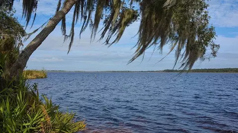 View/Area - 12420 White Blossom Ct, Parrish, FL 34219 photo 12 of 17
