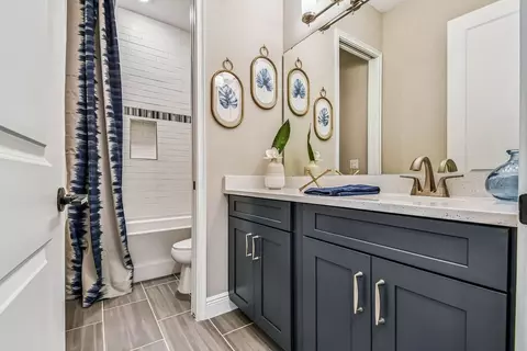 Bath - 12420 White Blossom Ct, Parrish, FL 34219 photo 8 of 12