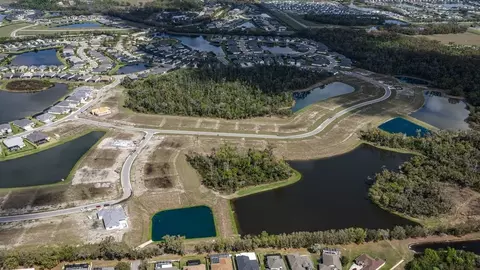 View/Area - 12420 White Blossom Ct, Parrish, FL 34219 photo 15 of 17