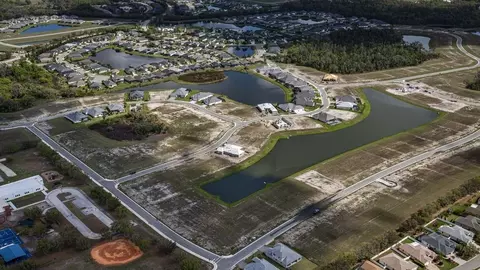 View/Area - 12420 White Blossom Ct, Parrish, FL 34219 photo 14 of 17