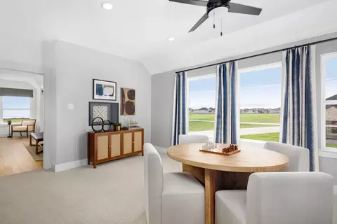 Other - 4565 Lamplights Dr, Prosper, TX 75078 photo 9 of 9