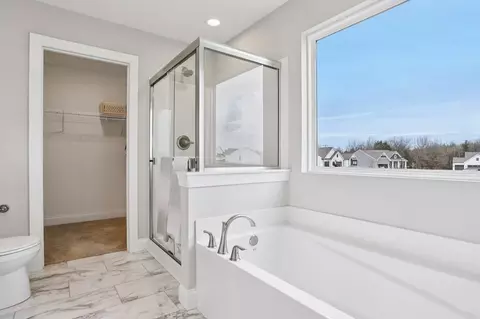 Bath - 29519 Walnut Hollow Dr, Wright City, MO 63390 photo 5 of 6