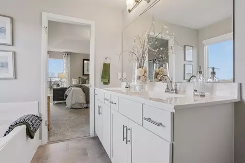 Bath - 29519 Walnut Hollow Dr, Wright City, MO 63390 photo 4 of 6