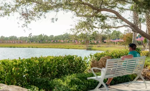 View/Area - 18477 Foxtail Loop, Venice, FL 34293 photo 10 of 11