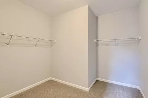 Other - 598 Noola St, Windsor, CO 80550 photo 2 of 14
