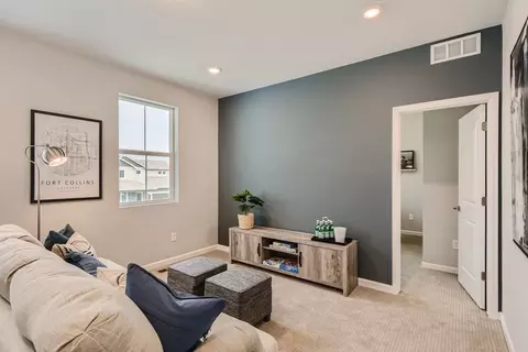 Other - 598 Noola St, Windsor, CO 80550 photo 4 of 14