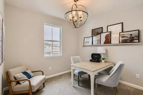 Other - 598 Noola St, Windsor, CO 80550 photo 3 of 14