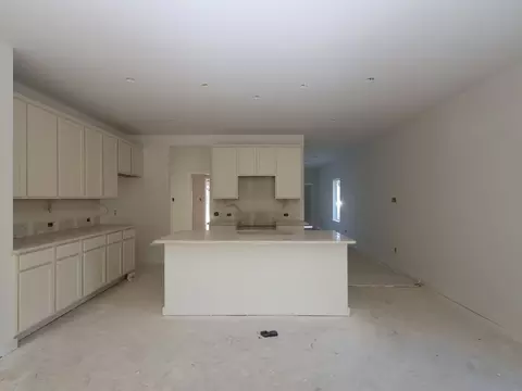 Other - 22792 Hackberry Leaf Dr, New Caney, TX 77357 photo 4 of 9