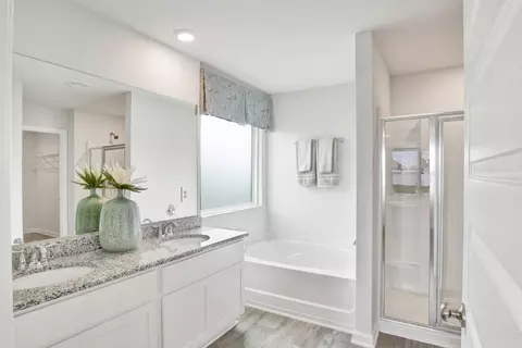 Bath - Laurelbrooke Loop, Fairhope, AL 36532 photo 1 of 5