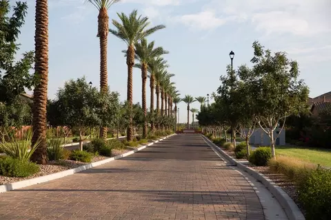View/Area - 4268 E Jones St, Gilbert, AZ 85295 photo 5 of 8