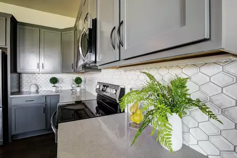 Kitchen - 6226 Vernazza Way #4, Windsor, CO 80550 photo 4 of 5