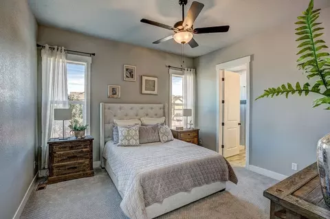 Bedroom - 6226 Vernazza Way #4, Windsor, CO 80550 photo 1 of 5