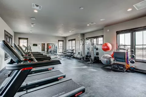 Other - 6226 Vernazza Way #4, Windsor, CO 80550 photo 13 of 16
