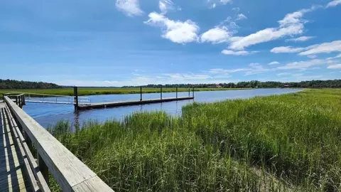 View/Area - 574 Settings Dr E, Yemassee, SC 29945 photo 2 of 10