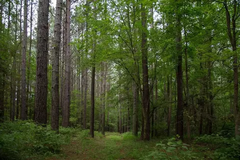 Other - 4007 Persimmon Rd, Lancaster, SC 29720 photo 16 of 23