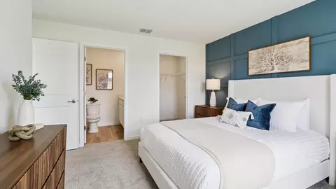 Bedroom - 11448 Spring Hill Dr, Spring Hill, FL 34609 photo 2 of 8