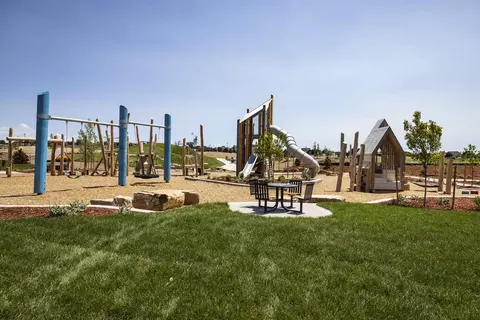 View/Area - 883 Mesic Ln, Windsor, CO 80550 photo 4 of 9