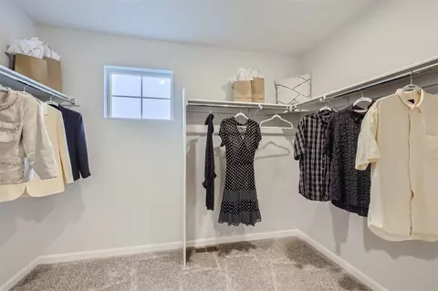 Other - 883 Mesic Ln, Windsor, CO 80550 photo 2 of 5