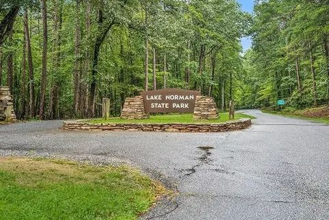 125 Spotted Way, Troutman, NC 28166 photo 10