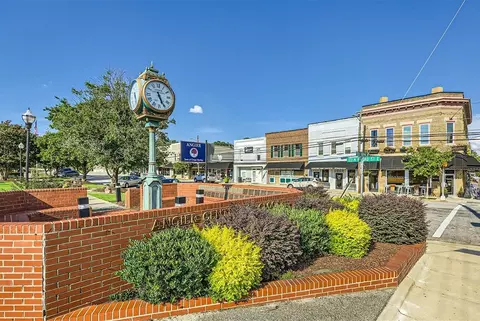 Other - 587 Roy Adams Rd, Angier, NC 27501 photo 12 of 13