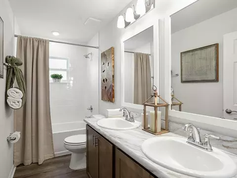 Bath - 12207 Cypress Branch St, Riverview, FL 33579 photo 2 of 4