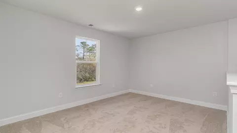 Other - 740 Doonbeg Ct, Conway, SC 29526 photo 4 of 18