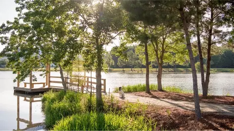View/Area - 194 Beamon Loop, Summerville, SC 29486 photo 8 of 12