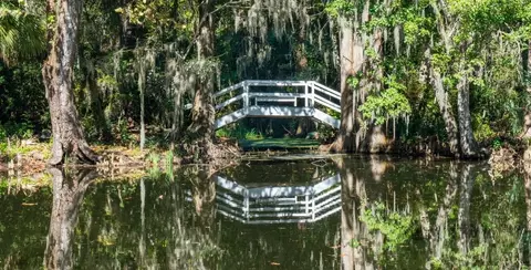 Other - 381 Camellia Bloom Dr, Moncks Corner, SC 29461 photo 10 of 15