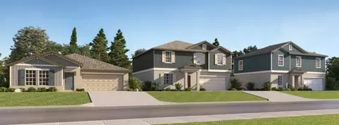 Exterior - 13606 Fenwick Stream Dr, Wimauma, FL 33598 photo 4 of 5