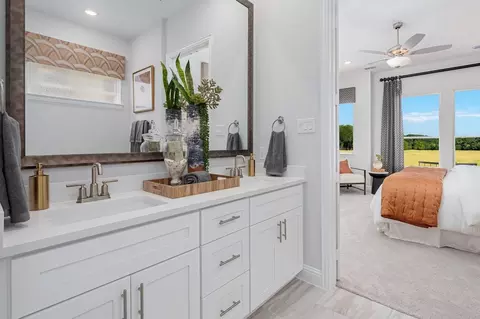Bath - 3093 Eleanor Dr, Prosper, TX 75078 photo 9 of 9