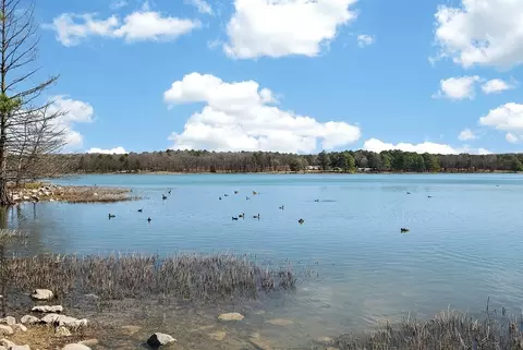 View/Area - Orchard Pass, Jonesboro, AR 72404 photo 1 of 1