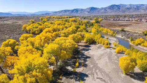 View/Area - 618 Fraser Loop, Dayton, NV 89403 photo 5 of 5