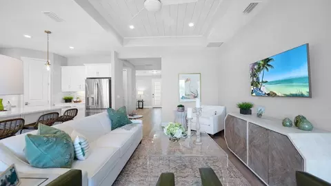 Living - 10025 Hammock Brook Dr, Parrish, FL 34219 photo 1 of 4