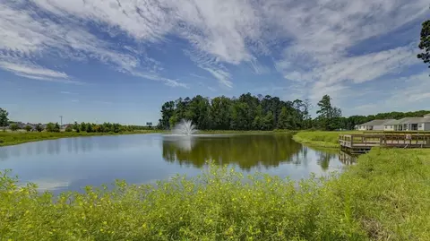View/Area - 197 Ruby Prince Rd, Gilbert, SC 29054 photo 5 of 7