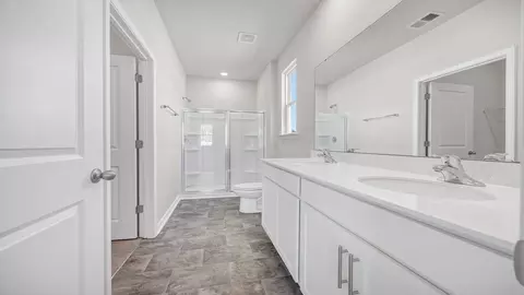 Bath - 197 Ruby Prince Rd, Gilbert, SC 29054 photo 2 of 8