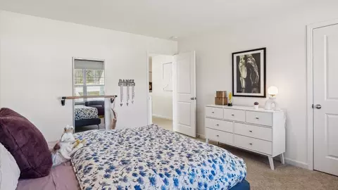 Bedroom - 300 Cookie Loop, Johnson City, TN 37615 photo 4 of 12