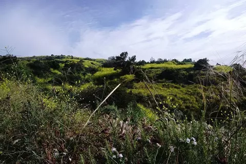 Other - 6659 Via Vis, Pico Rivera, CA 90660 photo 6 of 7